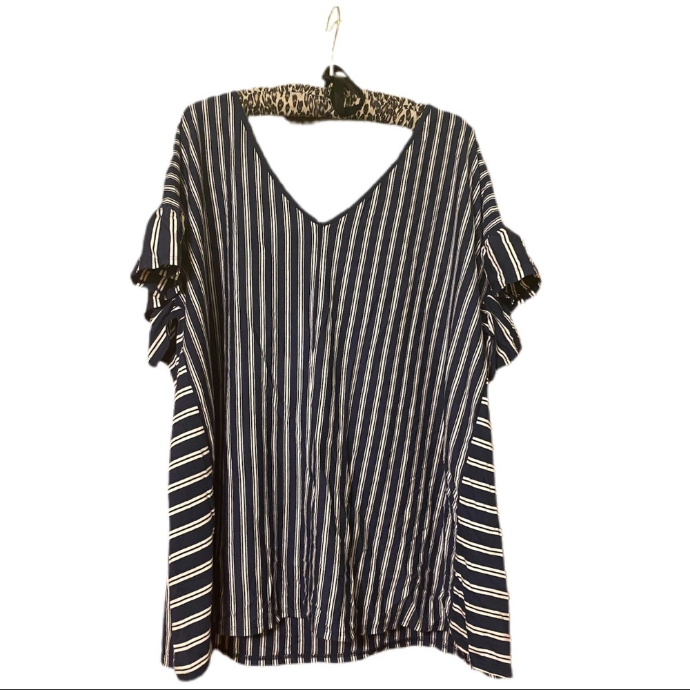Terra & Sky V-neck, Ruffled Sleeve Size 3x